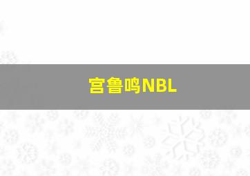 宫鲁鸣NBL