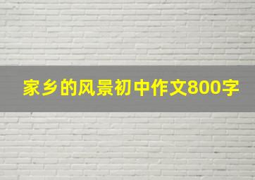 家乡的风景初中作文800字