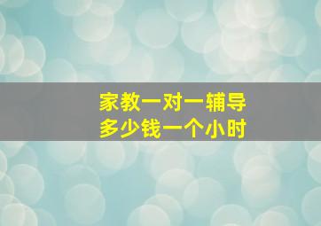 家教一对一辅导多少钱一个小时