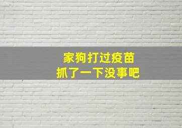 家狗打过疫苗抓了一下没事吧