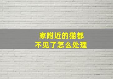 家附近的猫都不见了怎么处理