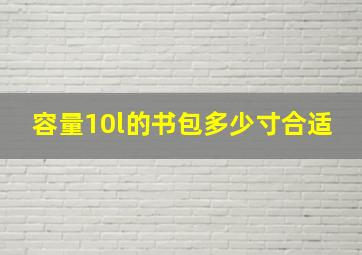 容量10l的书包多少寸合适