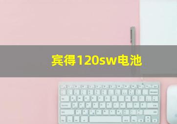 宾得120sw电池