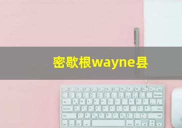 密歇根wayne县