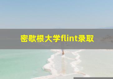 密歇根大学flint录取