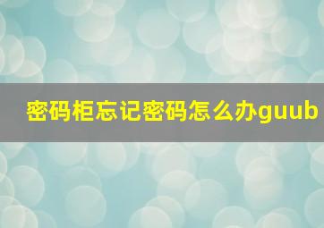 密码柜忘记密码怎么办guub