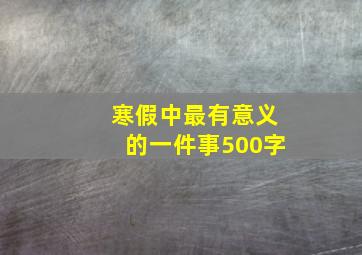 寒假中最有意义的一件事500字