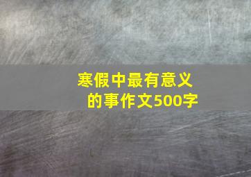 寒假中最有意义的事作文500字