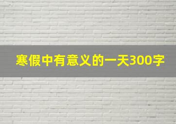 寒假中有意义的一天300字