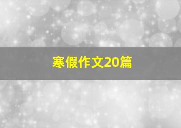 寒假作文20篇