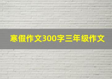 寒假作文300字三年级作文