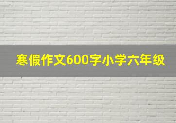 寒假作文600字小学六年级