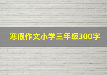 寒假作文小学三年级300字