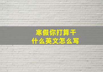 寒假你打算干什么英文怎么写