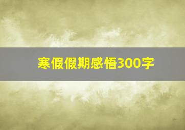 寒假假期感悟300字