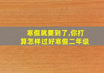 寒假就要到了,你打算怎样过好寒假二年级