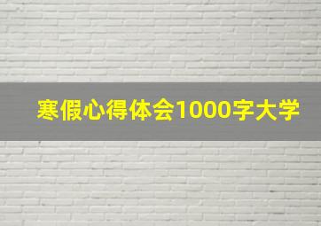 寒假心得体会1000字大学