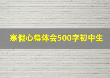 寒假心得体会500字初中生