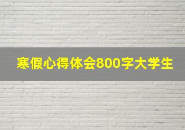 寒假心得体会800字大学生