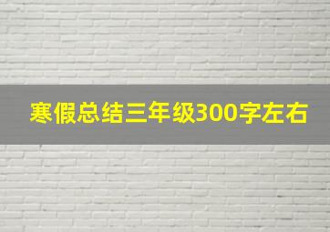 寒假总结三年级300字左右