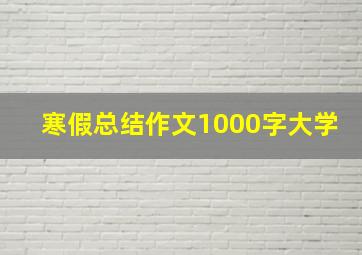 寒假总结作文1000字大学