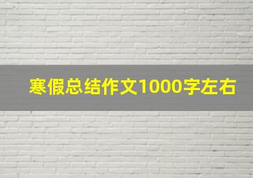 寒假总结作文1000字左右