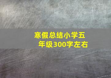 寒假总结小学五年级300字左右