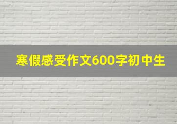 寒假感受作文600字初中生