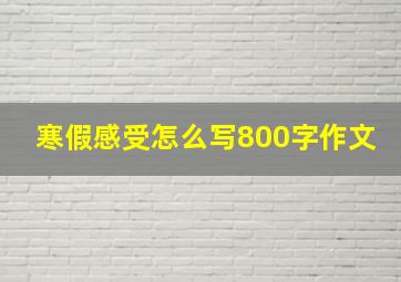 寒假感受怎么写800字作文