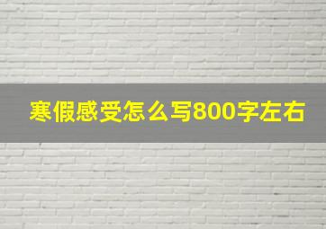 寒假感受怎么写800字左右