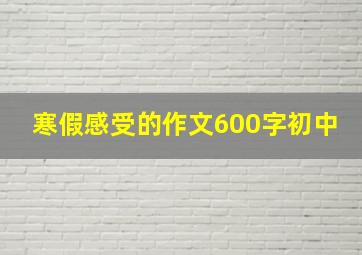 寒假感受的作文600字初中