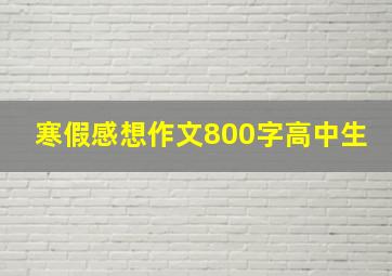 寒假感想作文800字高中生