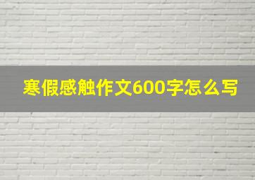 寒假感触作文600字怎么写