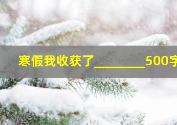 寒假我收获了________500字