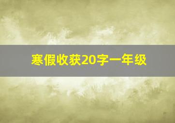 寒假收获20字一年级