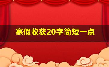 寒假收获20字简短一点