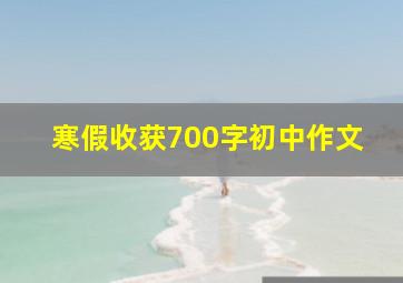 寒假收获700字初中作文