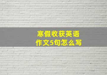 寒假收获英语作文5句怎么写