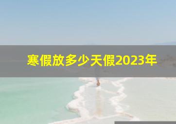 寒假放多少天假2023年