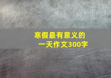 寒假最有意义的一天作文300字