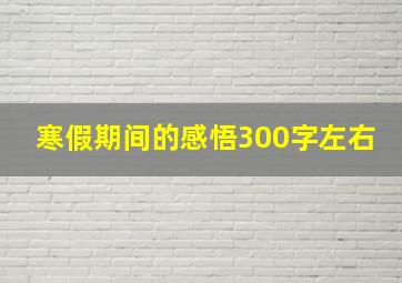 寒假期间的感悟300字左右