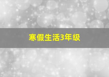 寒假生活3年级