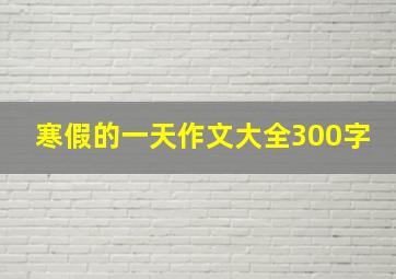 寒假的一天作文大全300字