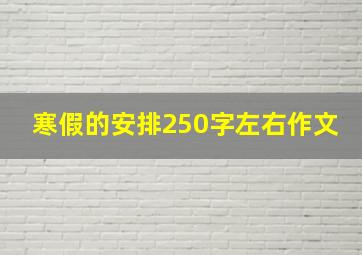 寒假的安排250字左右作文