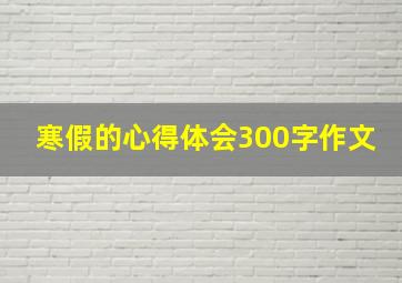 寒假的心得体会300字作文