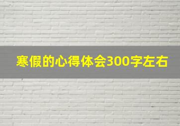 寒假的心得体会300字左右