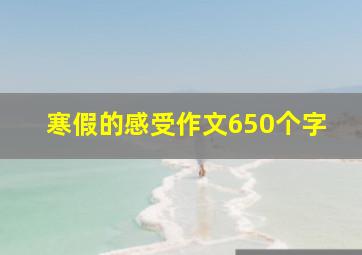 寒假的感受作文650个字