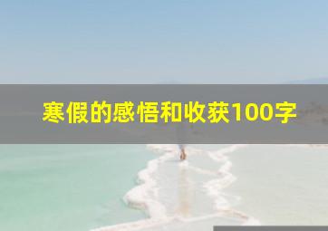 寒假的感悟和收获100字