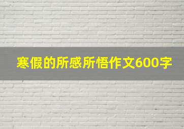 寒假的所感所悟作文600字