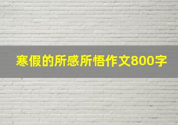 寒假的所感所悟作文800字